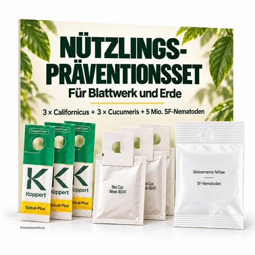 Nützlinge set gegen thripse - nützlinge,