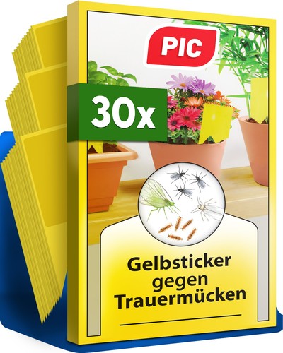 Pic gelbsticker trauermücken - pic,