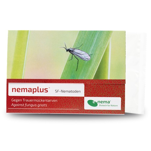 Nemaplus nematoden zur - sf,