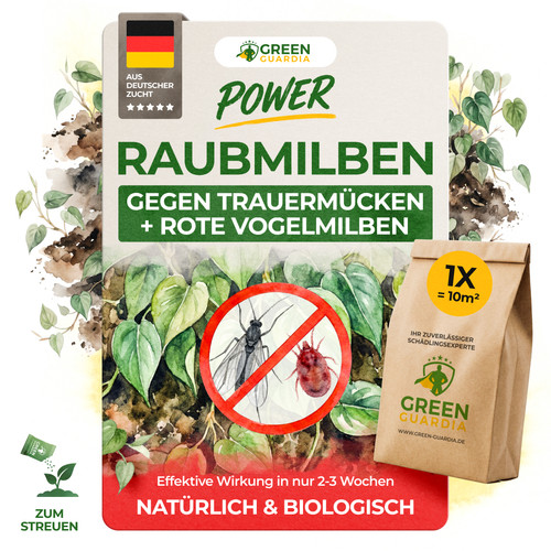Power raubmilben gegen - raubmilben,