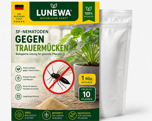 Trauermücken biologisch