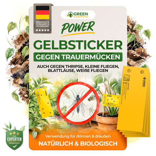 Gelbsticker gegen