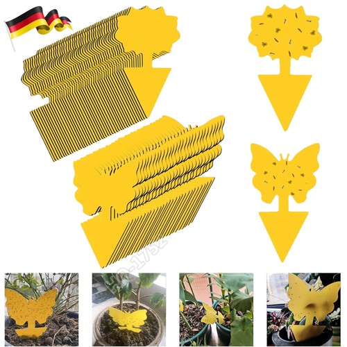 100x gelbsticker trauermücken - gelbsticker,