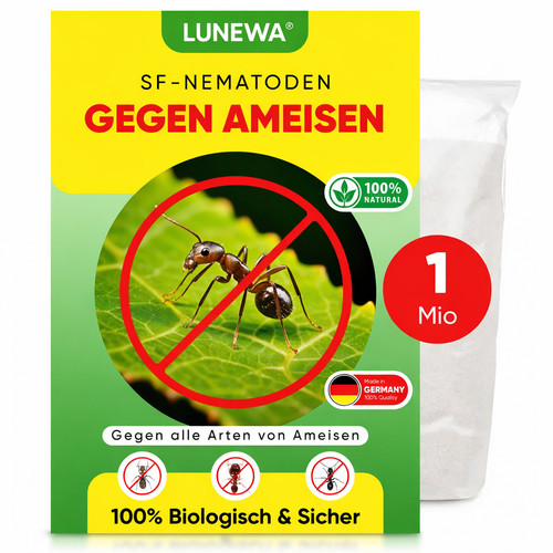 Nematoden gegen ameisen - gegen,