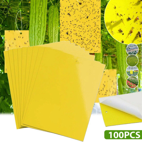 100x gelbtafeln gelbsticker - 100x,