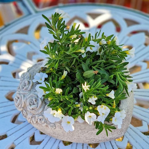 Grabschmuck trauerschmuck - grabschmuck,