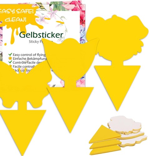 Gelbsticker trauermücken - gelbsticker,