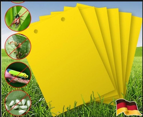 100x gelbtafeln gelbsticker - 100x,